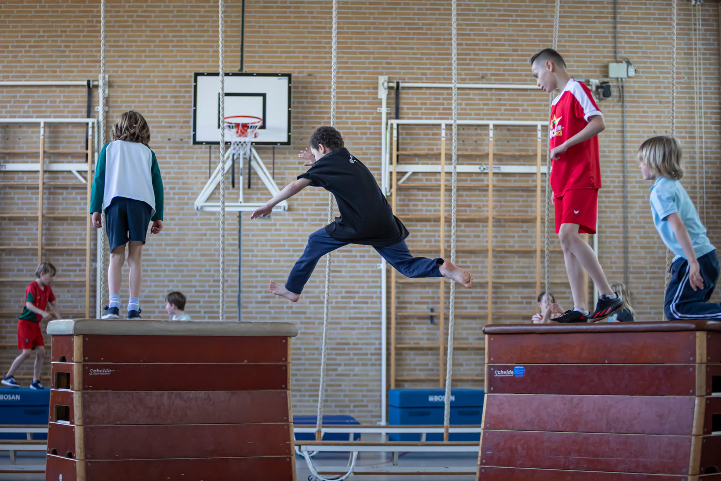 Apenkooien kinderfeestje Den Haag